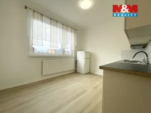 Pronájem bytu 1+1, Sokolov, Křížová, 40 m2