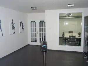 Pronájem obchodního prostoru, Praha - Holešovice, Dobrovského, 362 m2