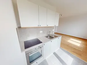 Pronájem bytu 2+kk, Mlečice, 51 m2