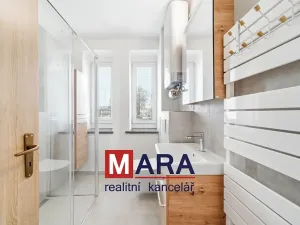 Pronájem bytu 1+1, Olomouc, Štítného, 47 m2