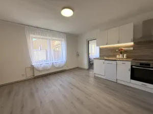 Pronájem rodinného domu, Čebín, 201 m2