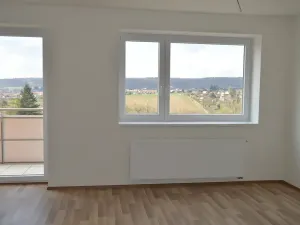 Prodej bytu 1+kk, Brno, Žabí, 34 m2