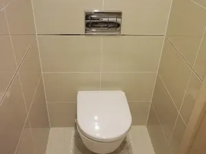 Prodej bytu 2+kk, Praha - Žižkov, Olšanská, 62 m2