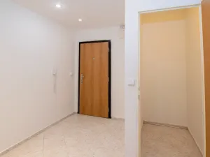 Prodej bytu 1+1, Praha - Stodůlky, Archeologická, 53 m2