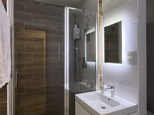 Prodej bytu 1+1, Ostrava - Mariánské Hory, Gen. Janka, 36 m2