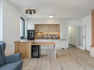 Pronájem bytu 3+kk, Praha - Žižkov, Olgy Havlové, 73 m2