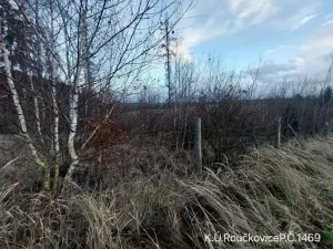 Prodej lesa, Pacov, 10995 m2