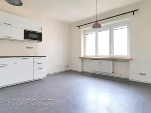 Pronájem bytu 3+kk, Praha - Žižkov, Biskupcova, 80 m2
