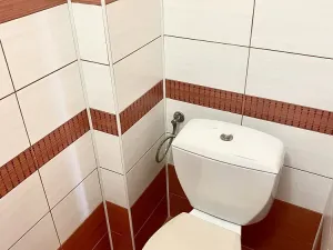 Pronájem bytu 1+1, Vsetín, Svornosti, 46 m2