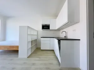 Pronájem bytu 1+kk, Brno, Lidická, 28 m2