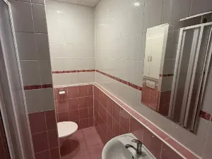 Prodej bytu 2+1, Orlová, F. S. Tůmy, 43 m2