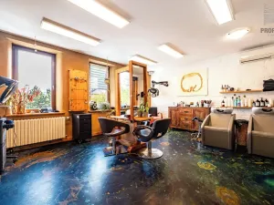 Prodej vícegeneračního domu, Brno, Otakara Ševčíka, 190 m2