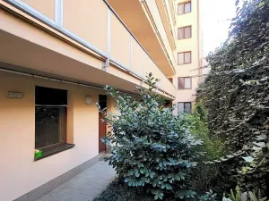 Prodej bytu 1+kk, Brno, Křenová, 32 m2