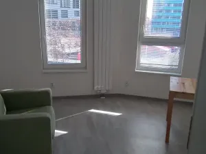 Prodej bytu 3+kk, Praha - Žižkov, Olgy Havlové, 71 m2