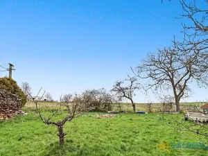 Prodej pozemku pro bydlení, Žďárec, 11486 m2