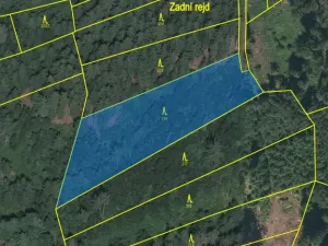 Prodej lesa, Kolinec - Buršice, 3423 m2