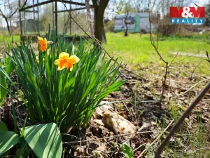 Prodej zahrady, Čáslav, 270 m2