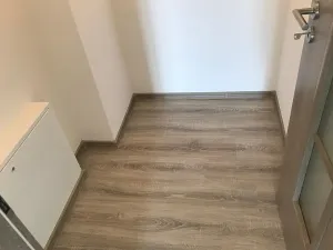 Pronájem bytu 3+kk, Olomouc, Frištenského, 143 m2