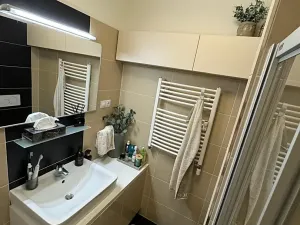 Pronájem bytu 2+kk, Ostrava, U Staré elektrárny, 51 m2