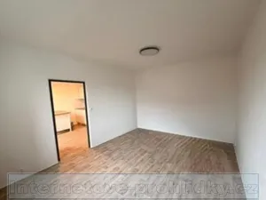 Pronájem bytu 1+1, Ústí nad Labem, Železná, 35 m2