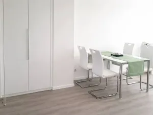 Pronájem bytu 2+kk, Praha - Žižkov, Pod lipami, 54 m2