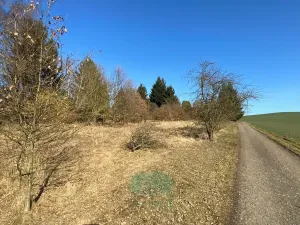 Prodej pozemku pro bydlení, Postupice, 1000 m2