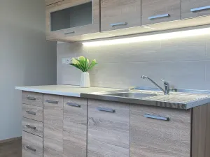 Pronájem bytu 2+1, Chomutov, Holešická, 62 m2