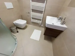 Prodej vícegeneračního domu, Pasohlávky, 320 m2