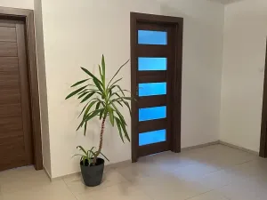 Prodej rodinného domu, Vojkov, 194 m2