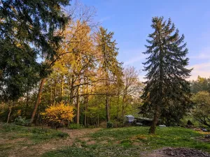 Prodej pozemku pro bydlení, Slapy, 5157 m2