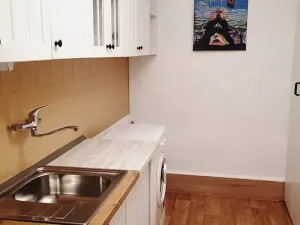 Pronájem bytu 1+1, Praha - Smíchov, Děvínská, 52 m2