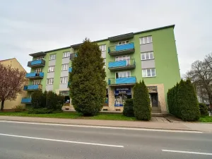 Prodej obchodního prostoru, Frýdlant nad Ostravicí, Komenského, 206 m2