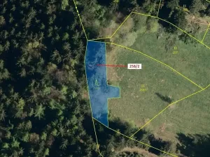 Dražba lesa, Zděchov, 697 m2