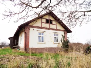 Prodej komerčního pozemku, Jesenice, Rekreační, 10738 m2