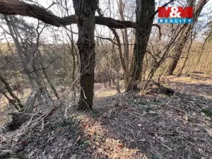 Prodej pozemku pro bydlení, Škvorec, Na Pazderně, 3021 m2