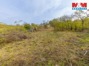 Prodej pozemku pro bydlení, Milešovice, 3385 m2