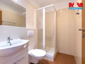 Prodej ubytování, Karlovy Vary - Drahovice, 310 m2