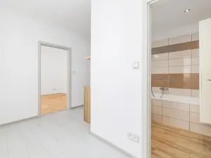 Prodej bytu 3+1, Veselí nad Lužnicí, Pod Markem, 62 m2