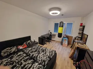 Pronájem bytu 2+1, Praha - Žižkov, K lučinám, 51 m2