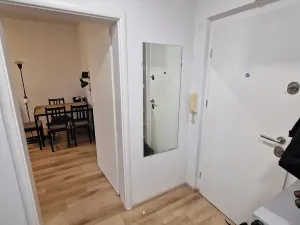 Pronájem bytu 2+1, Praha - Žižkov, K lučinám, 51 m2