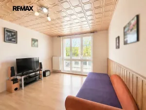 Prodej bytu 1+1, Kralovice, Mírová, 37 m2