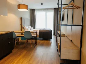 Pronájem bytu 1+kk, Plzeň, Pallova, 32 m2