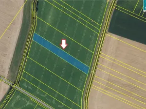 Prodej pole, Šebetov, 10702 m2