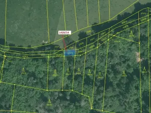 Dražba pozemku, Milavče, 80 m2