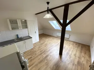 Pronájem bytu 1+kk, Brno, Řehořova, 31 m2