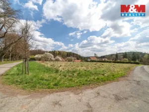 Prodej pozemku pro bydlení, Březnice - Bor, 2692 m2