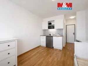 Pronájem bytu 1+kk, Praha - Vysočany, U Lidového domu, 17 m2