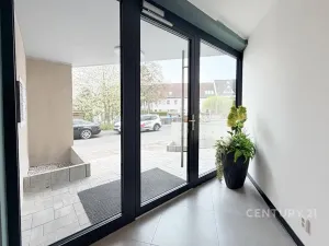 Pronájem bytu 3+kk, Most, Bří Čapků, 68 m2