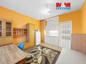 Prodej bytu 1+kk, Děčín - Děčín III-Staré Město, Litoměřická, 19 m2