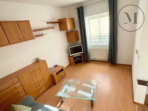Pronájem bytu 1+1, České Budějovice, 30 m2